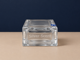عطر سیلور سنت silver scent